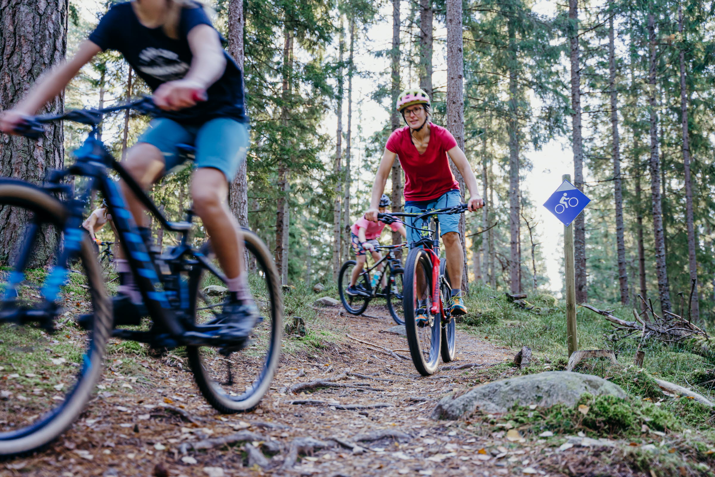 Cykla MTB på Lassalyckan